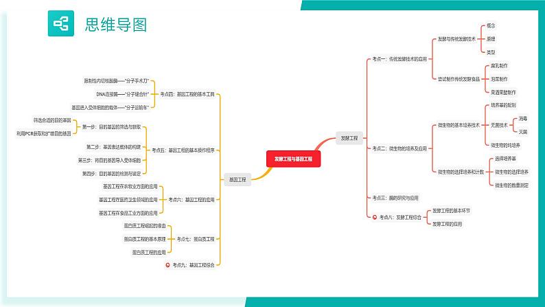 专题一 发酵工程与基因工程（期末考点串讲）-2023-2024学年高二生物下学期期末考点大串讲（人教版2019）课件PPT03