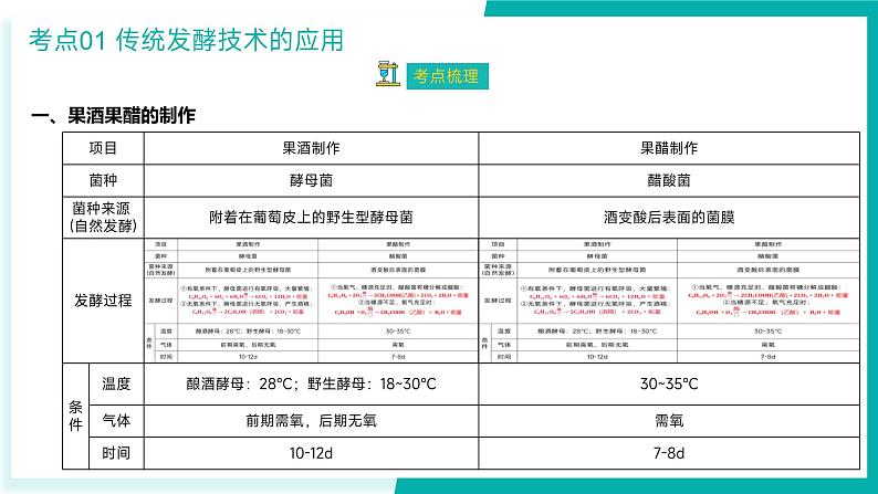 专题一 发酵工程与基因工程（期末考点串讲）-2023-2024学年高二生物下学期期末考点大串讲（人教版2019）课件PPT05