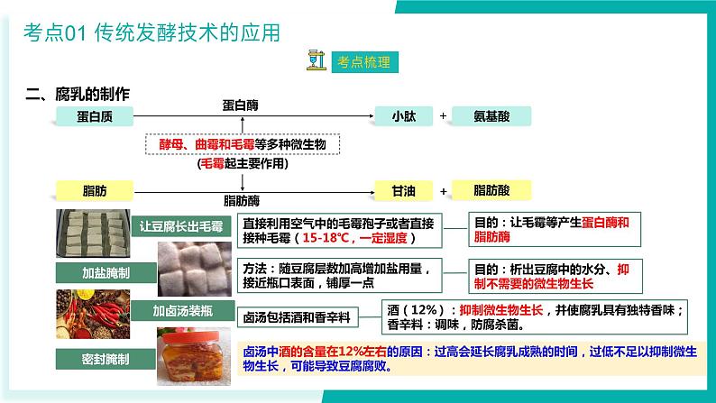 专题一 发酵工程与基因工程（期末考点串讲）-2023-2024学年高二生物下学期期末考点大串讲（人教版2019）课件PPT07