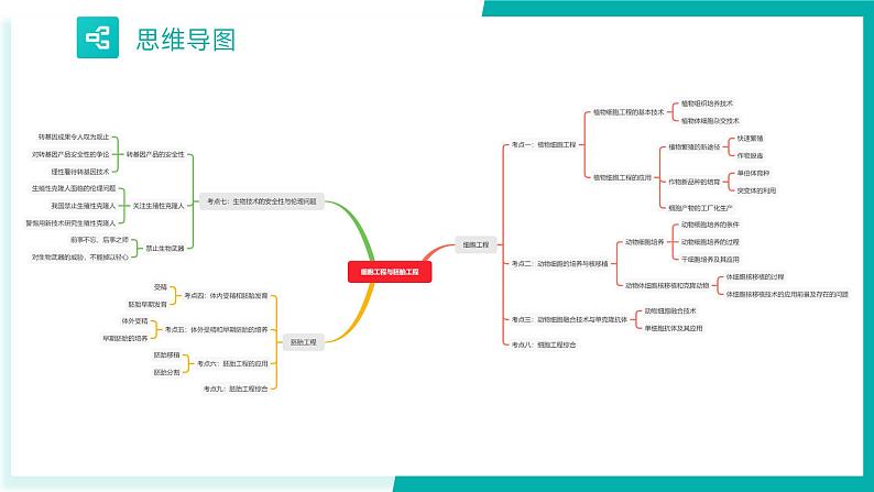 专题二 细胞工程与胚胎工程（期末考点串讲）-2023-2024学年高二生物下学期期末考点大串讲（人教版2019）课件PPT03