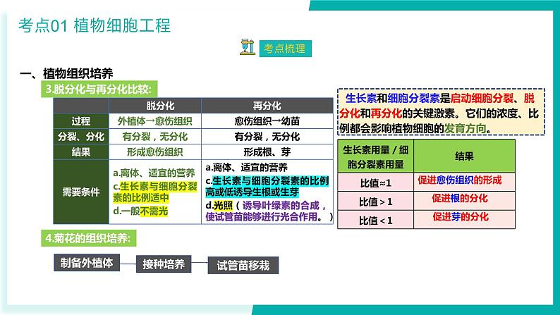 专题二 细胞工程与胚胎工程（期末考点串讲）-2023-2024学年高二生物下学期期末考点大串讲（人教版2019）课件PPT06