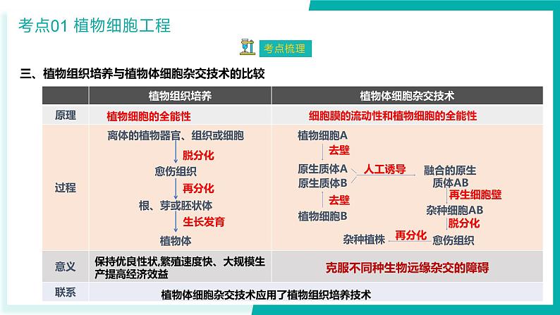 专题二 细胞工程与胚胎工程（期末考点串讲）-2023-2024学年高二生物下学期期末考点大串讲（人教版2019）课件PPT08