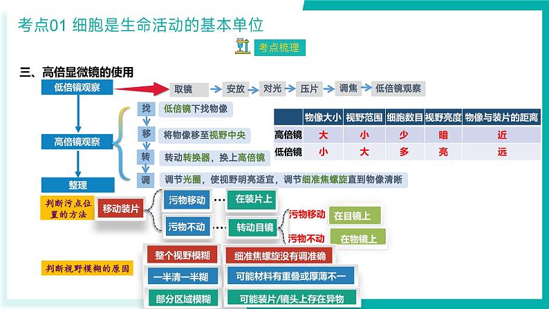 专题三 细胞的结构与功能（期末考点串讲）-2023-2024学年高二生物下学期期末考点大串讲（人教版2019）课件PPT第8页