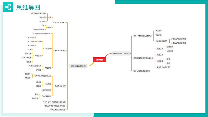 专题四 细胞的代谢（期末考点串讲）-2023-2024学年高二生物下学期期末考点大串讲（人教版2019）课件PPT03