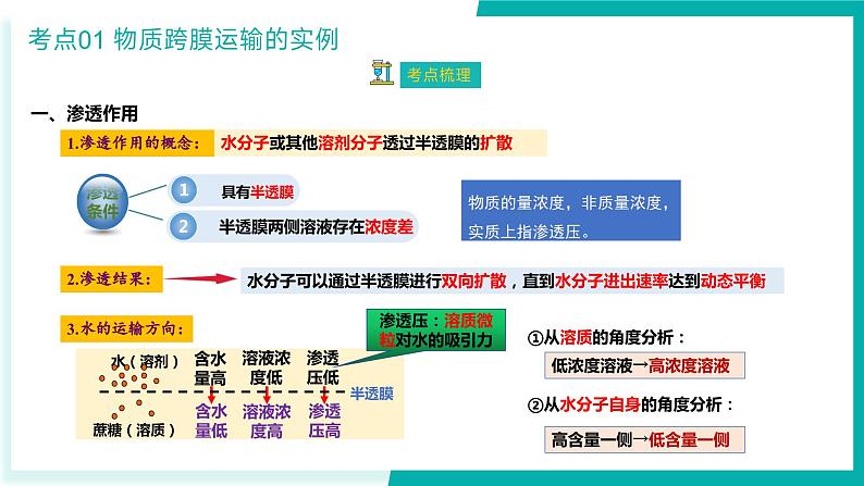 专题四 细胞的代谢（期末考点串讲）-2023-2024学年高二生物下学期期末考点大串讲（人教版2019）课件PPT05