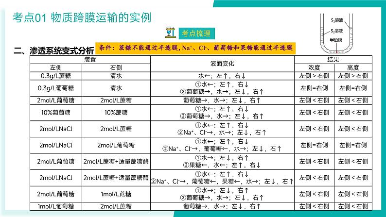 专题四 细胞的代谢（期末考点串讲）-2023-2024学年高二生物下学期期末考点大串讲（人教版2019）课件PPT06