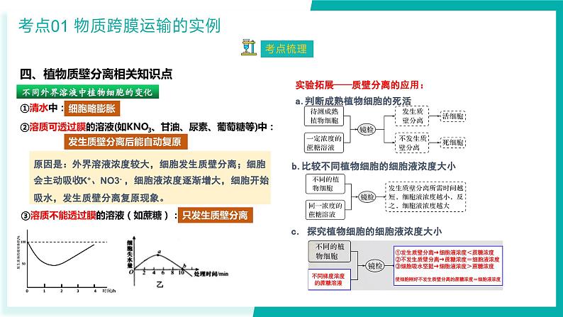 专题四 细胞的代谢（期末考点串讲）-2023-2024学年高二生物下学期期末考点大串讲（人教版2019）课件PPT08