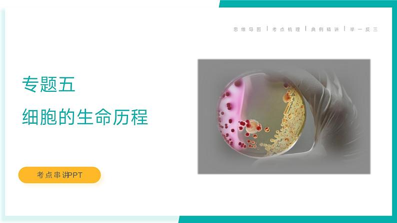 专题五 细胞的生命历程（期末考点串讲）-2023-2024学年高二生物下学期期末考点大串讲（人教版2019）课件PPT01
