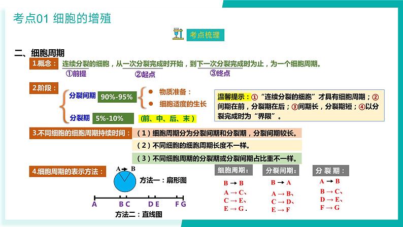 专题五 细胞的生命历程（期末考点串讲）-2023-2024学年高二生物下学期期末考点大串讲（人教版2019）课件PPT06