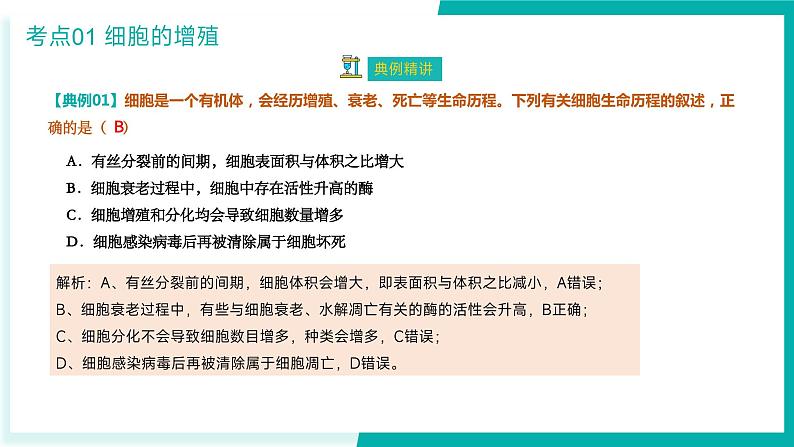 专题五 细胞的生命历程（期末考点串讲）-2023-2024学年高二生物下学期期末考点大串讲（人教版2019）课件PPT07