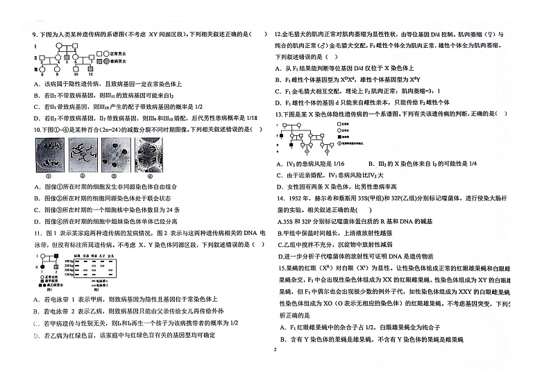 辽宁省朝阳市建平县实验中学2023-2024学年高一下学期6月月考生物试题02