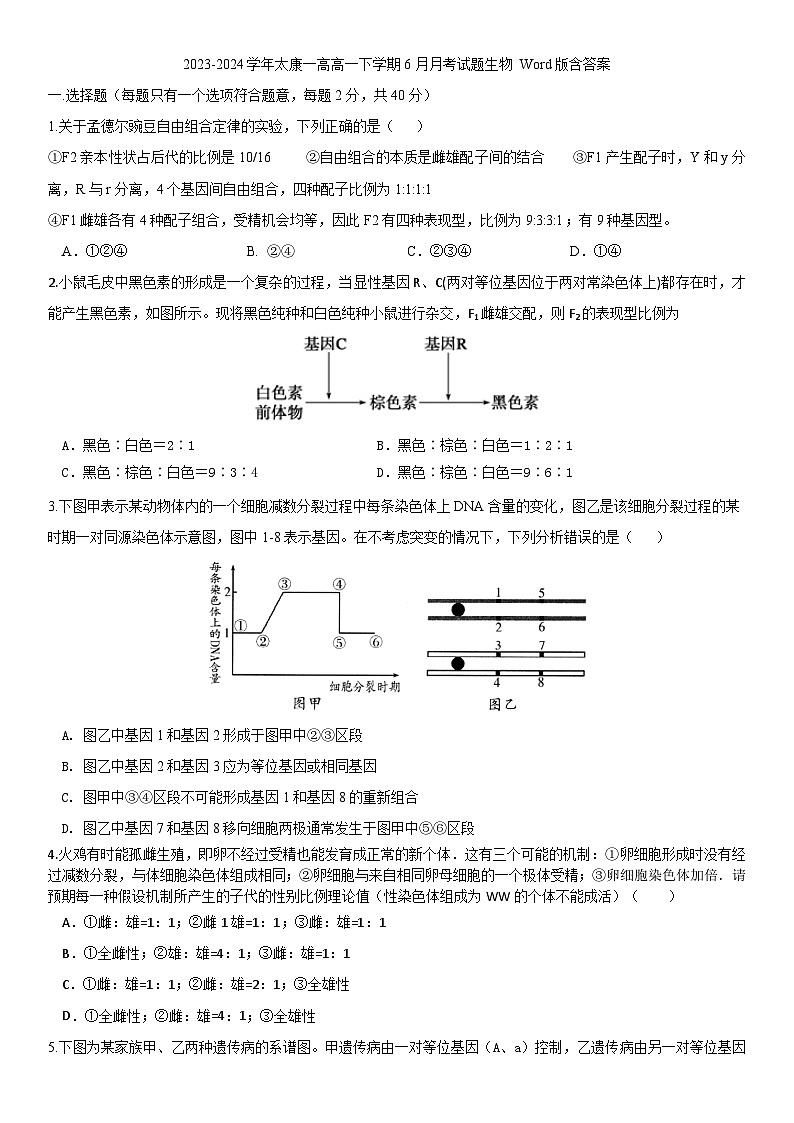 河南省周口市太康县第一高级中学2023-2024学年高一下学期6月月考生物试题01
