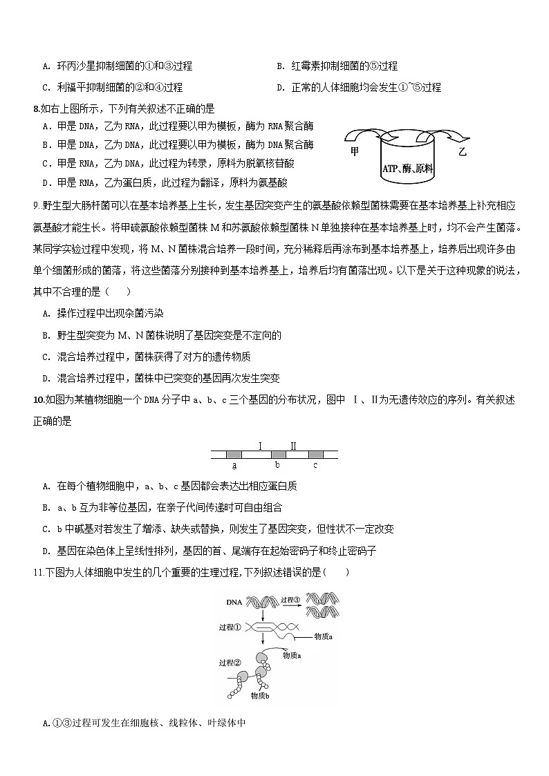 河南省周口市太康县第一高级中学2023-2024学年高一下学期6月月考生物试题03