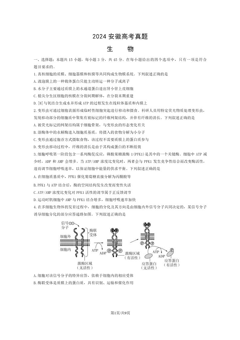 [生物]2024安徽高考真题试卷第1页