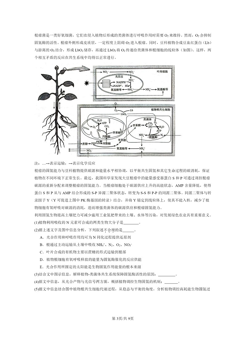 [生物][二模]2024北京高三试题分类汇编：群落的结构03