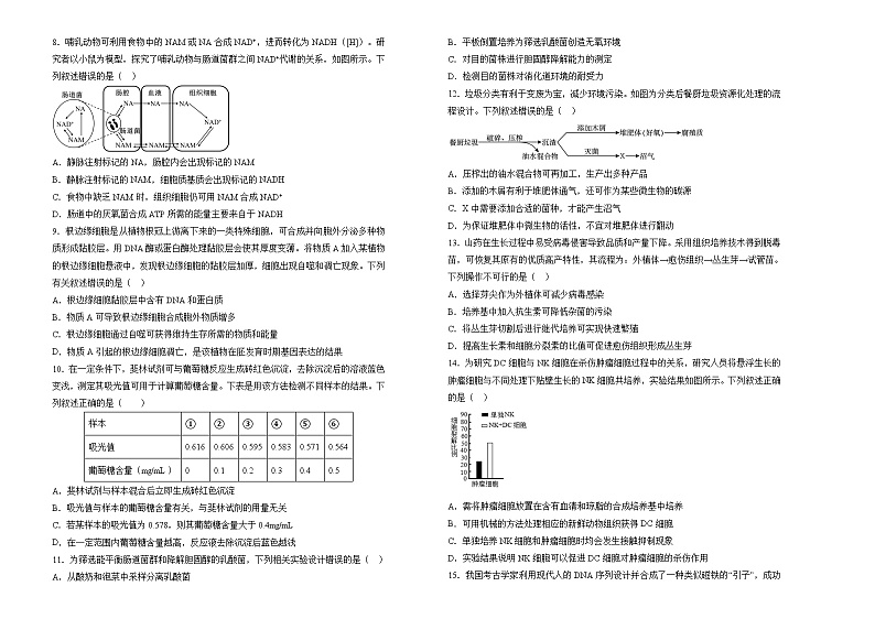 湖南省衡阳市衡阳县第四中学2023-2024学年高二下学期期末考试生物模拟试题02