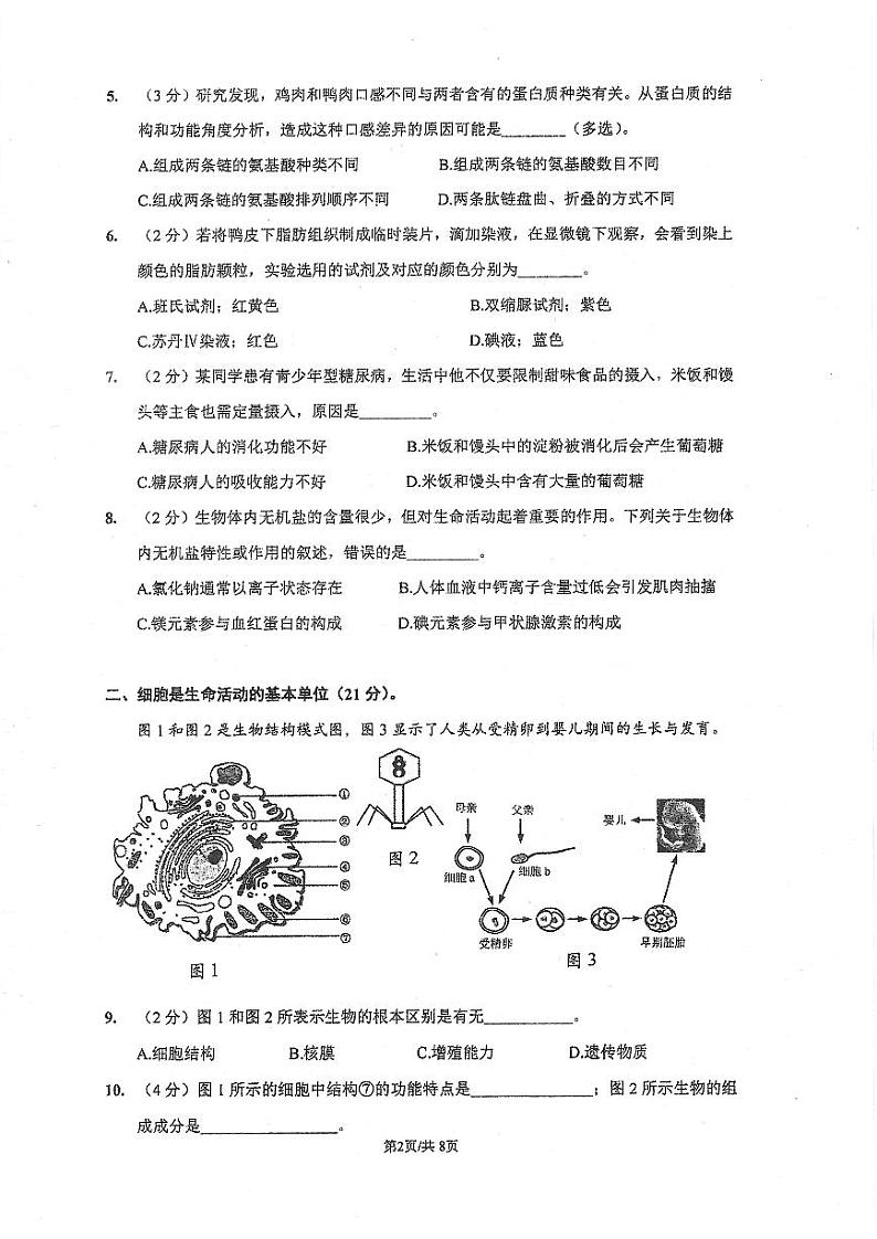 上海市黄浦区大同中学2023-2024学年高一下学期6月期末生物试题02