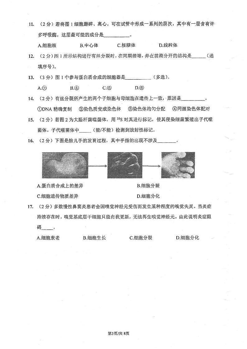 上海市黄浦区大同中学2023-2024学年高一下学期6月期末生物试题03