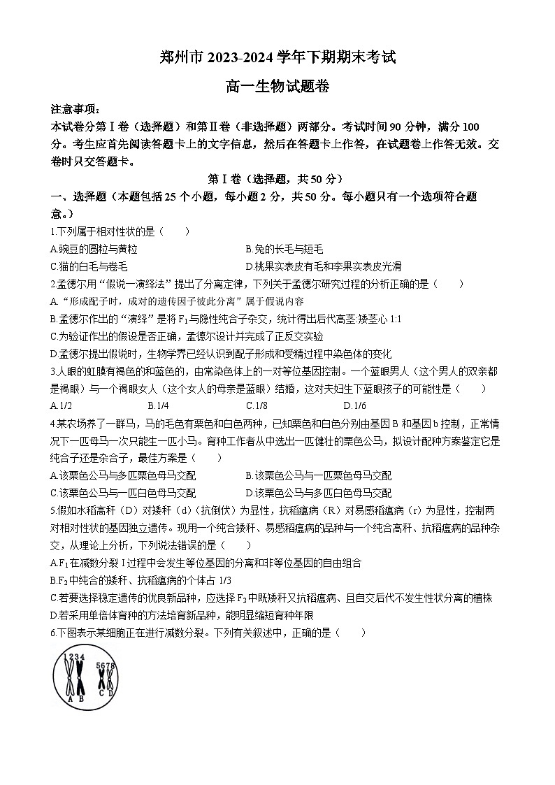 河南省郑州市2023-2024学年高一下学期期末考试生物试题01