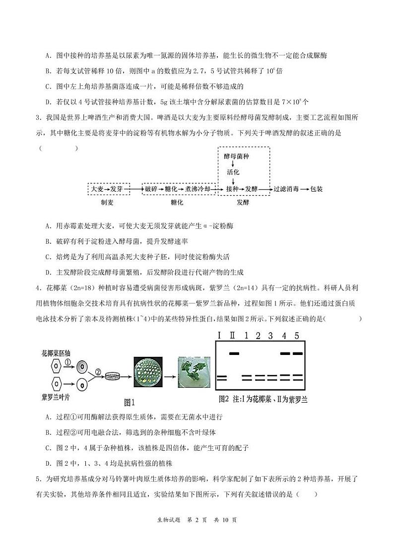 生物丨吉林省通化市梅河口市第五中学2025年新高三6月月考生物试卷及答案02
