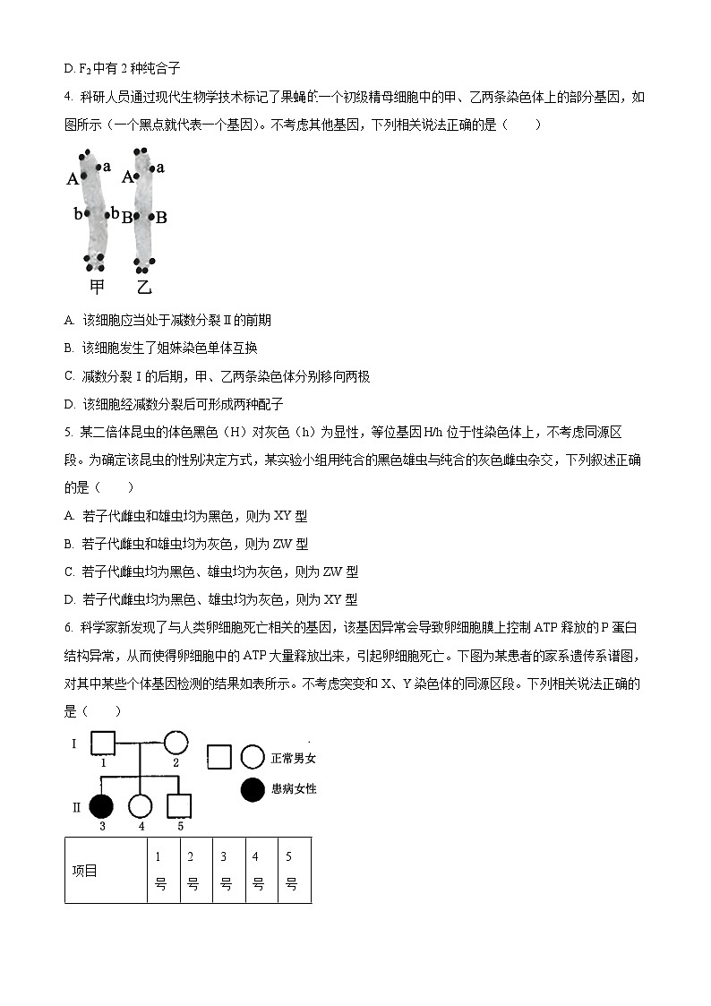 吉林省部分名校2023-2024学年高一下学期6月期末联合考试生物试题（Word版附解析）02
