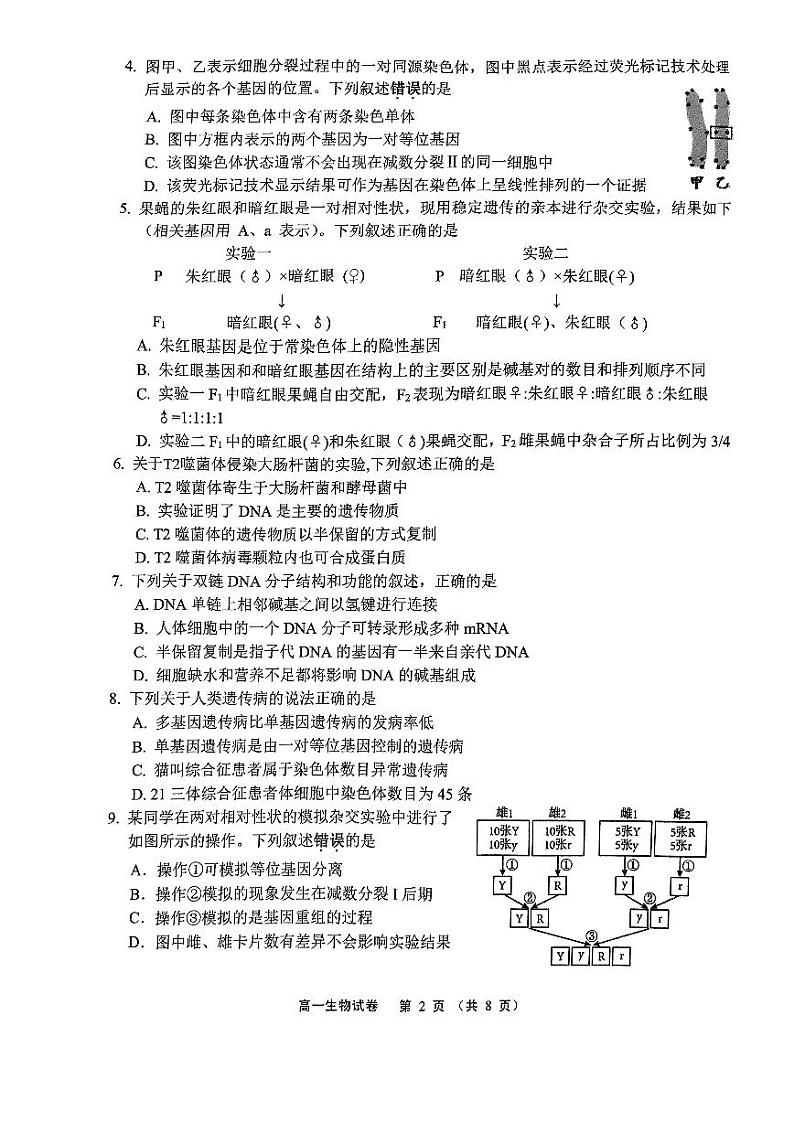 江苏省无锡市2023-2024学年高一下学期生物期末市调研试卷02
