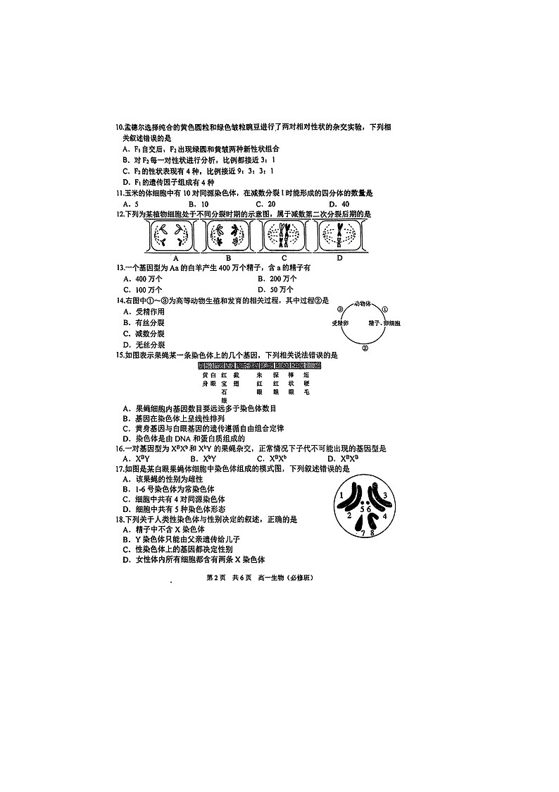 江苏省无锡市滨湖区无锡市第一中学2023-2024学年高一下学期6月期末生物试题02