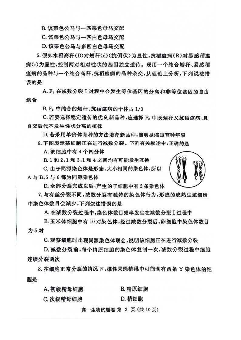 生物-河南省郑州市2023-2024学年高一下期末考试02