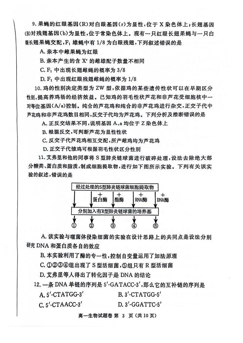 生物-河南省郑州市2023-2024学年高一下期末考试03