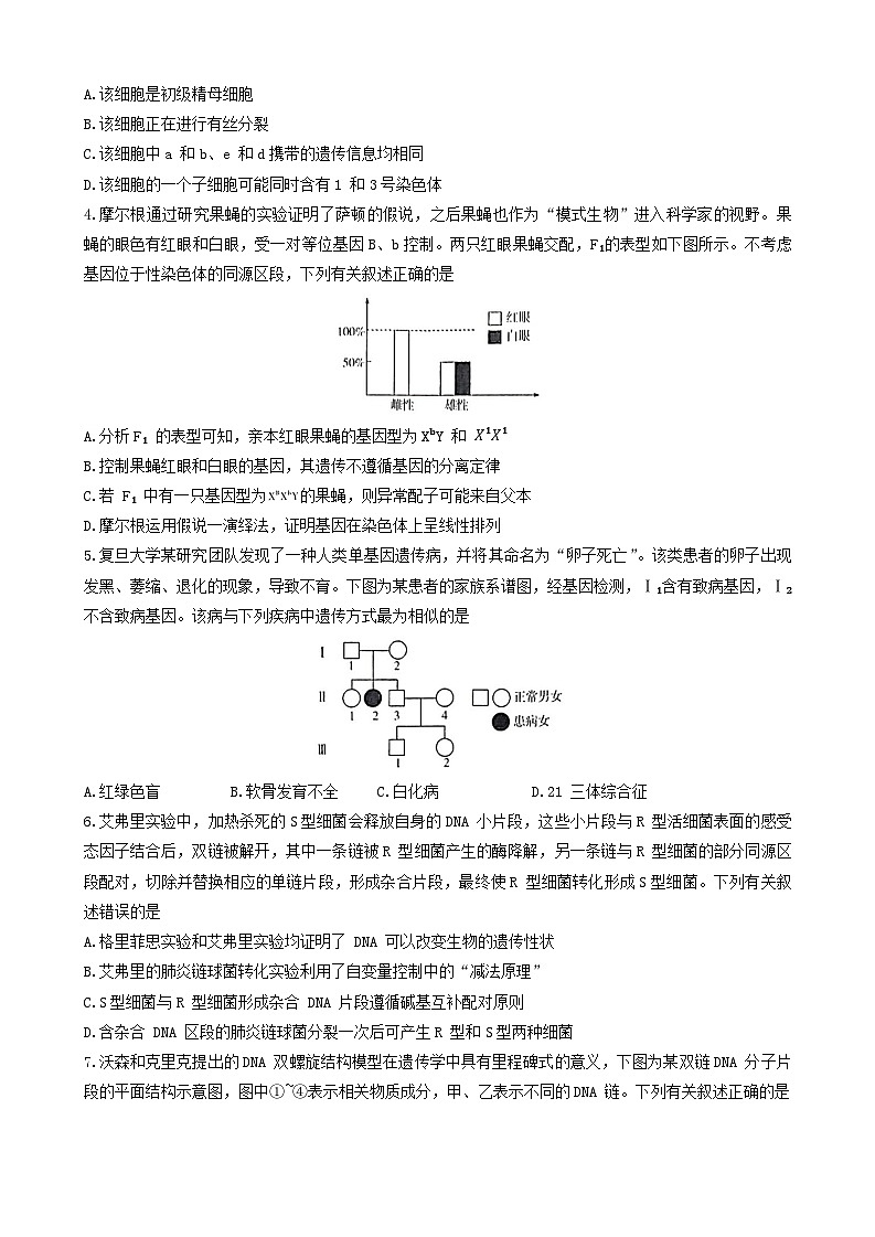 河南省南阳市南阳六校联考2023-2024学年高一下学期6月期末生物试题第2页