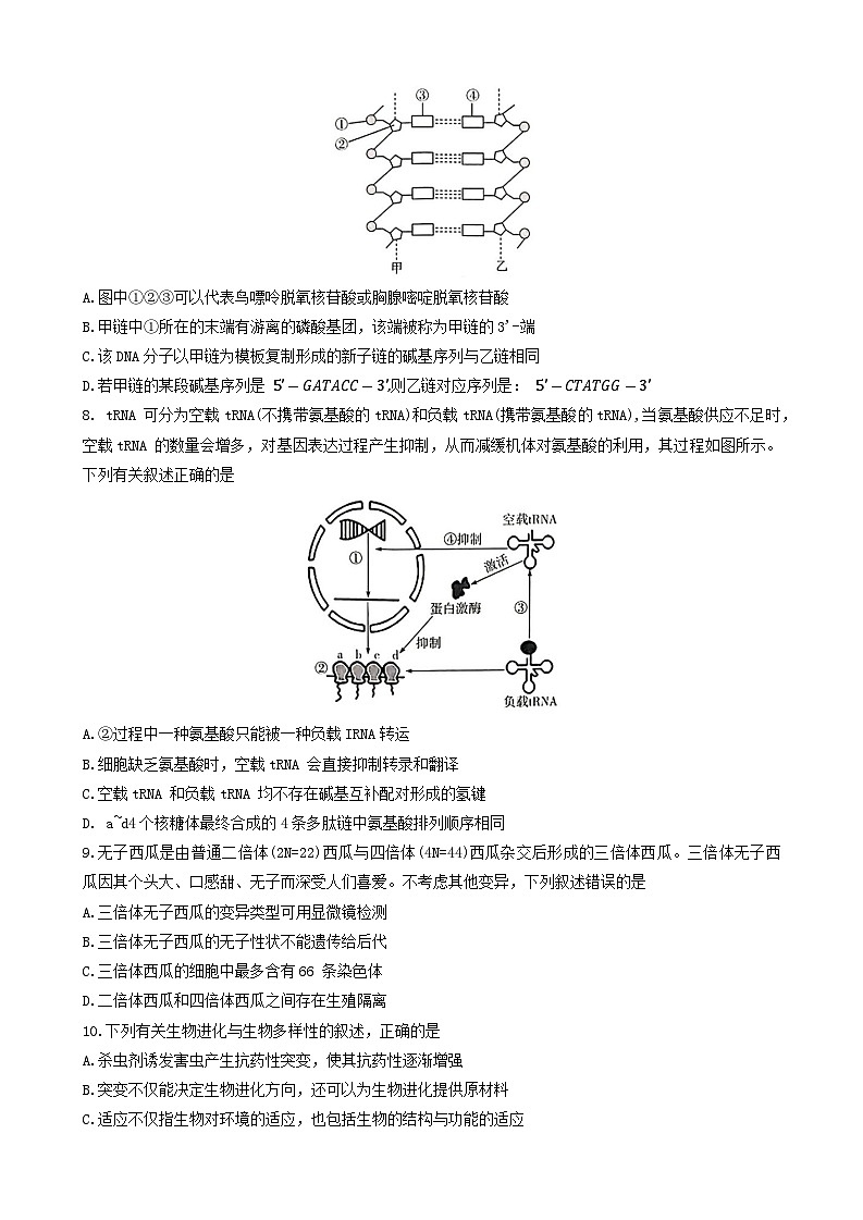 河南省南阳市南阳六校联考2023-2024学年高一下学期6月期末生物试题第3页