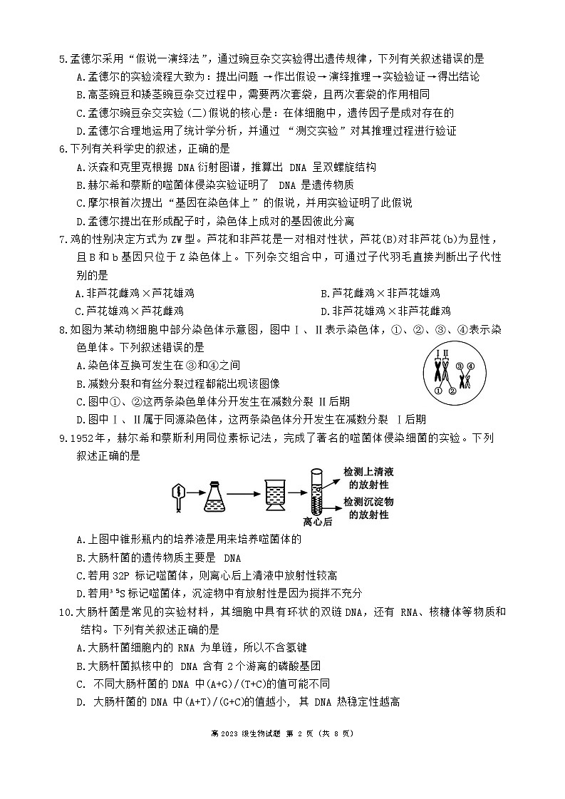 四川省乐山市峨眉第二中学校2023-2024学年高一下学期期末考试生物试题第2页