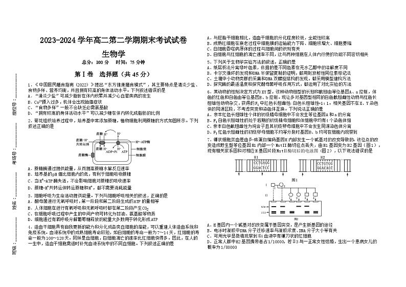 安徽省合肥市蜀山区合肥八一学校2023-2024学年高二下学期期末生物试卷01