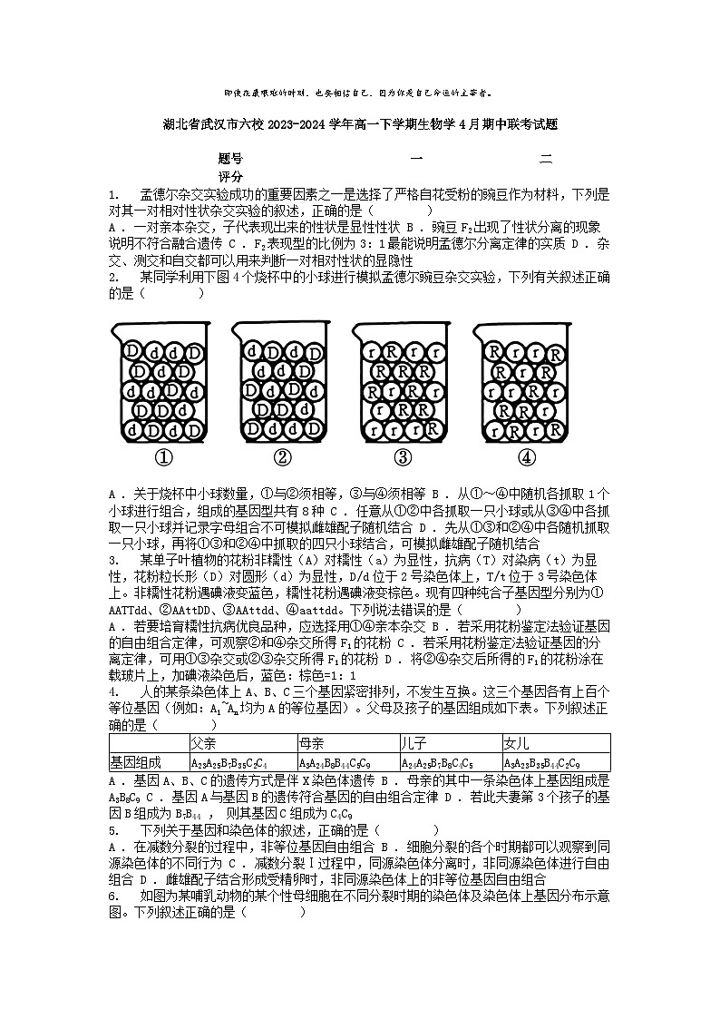 [生物]湖北省武汉市六校2023-2024学年高一下学期学4月期中联考试题第1页
