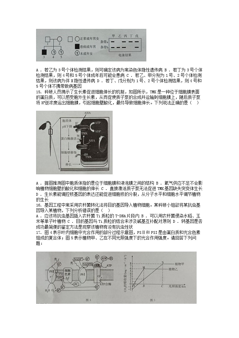 [生物]广西壮族自治区桂柳2024届高三下学期信息冲刺金卷(四)学试卷第3页