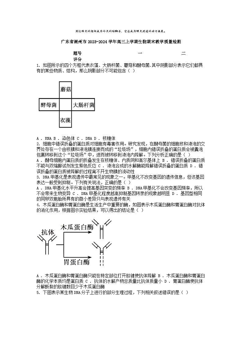 [生物]广东省潮州市2023-2024学年高三上学期期末教学质量检测01