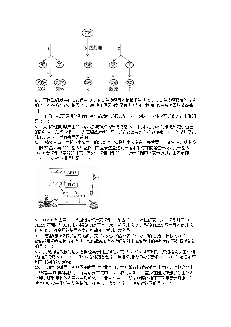 [生物][二模]广东省梅州市2024届高三下学期4月总复习质检()学试卷第2页