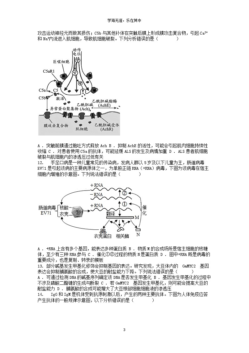 [生物][二模]广西壮族自治区南宁市2024届高三试卷第3页