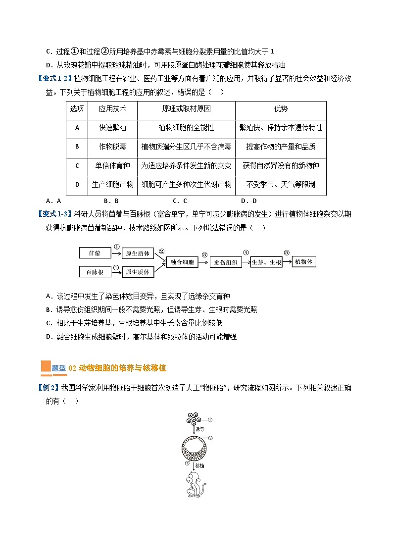 专题02 细胞工程与胚胎工程（期末考题猜想）（9大题型）（原卷版+解析版）-高二生物下学期期末考点大串讲（人教版2019）02