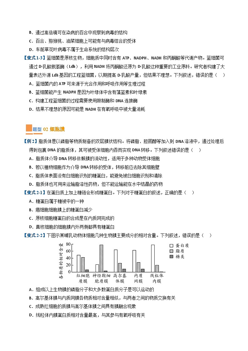 专题03 细胞的结构与功能（期末考题猜想）（8大题型）（原卷版+解析版）-高二生物下学期期末考点大串讲（人教版2019）02