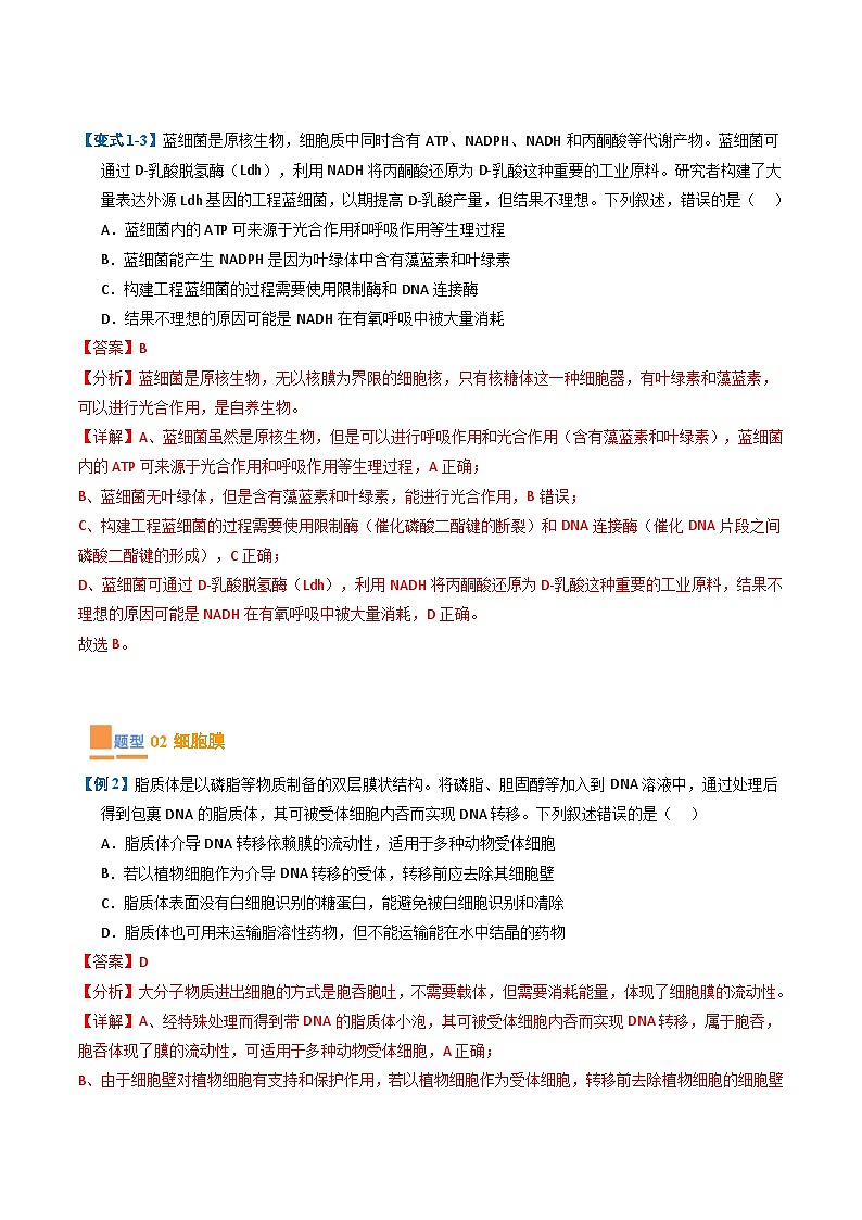 专题03 细胞的结构与功能（期末考题猜想）（8大题型）（原卷版+解析版）-高二生物下学期期末考点大串讲（人教版2019）03