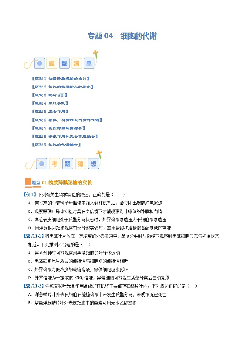 专题04 细胞的代谢（期末考题猜想）（9大题型）（原卷版+解析版）-高二生物下学期期末考点大串讲（人教版2019）01