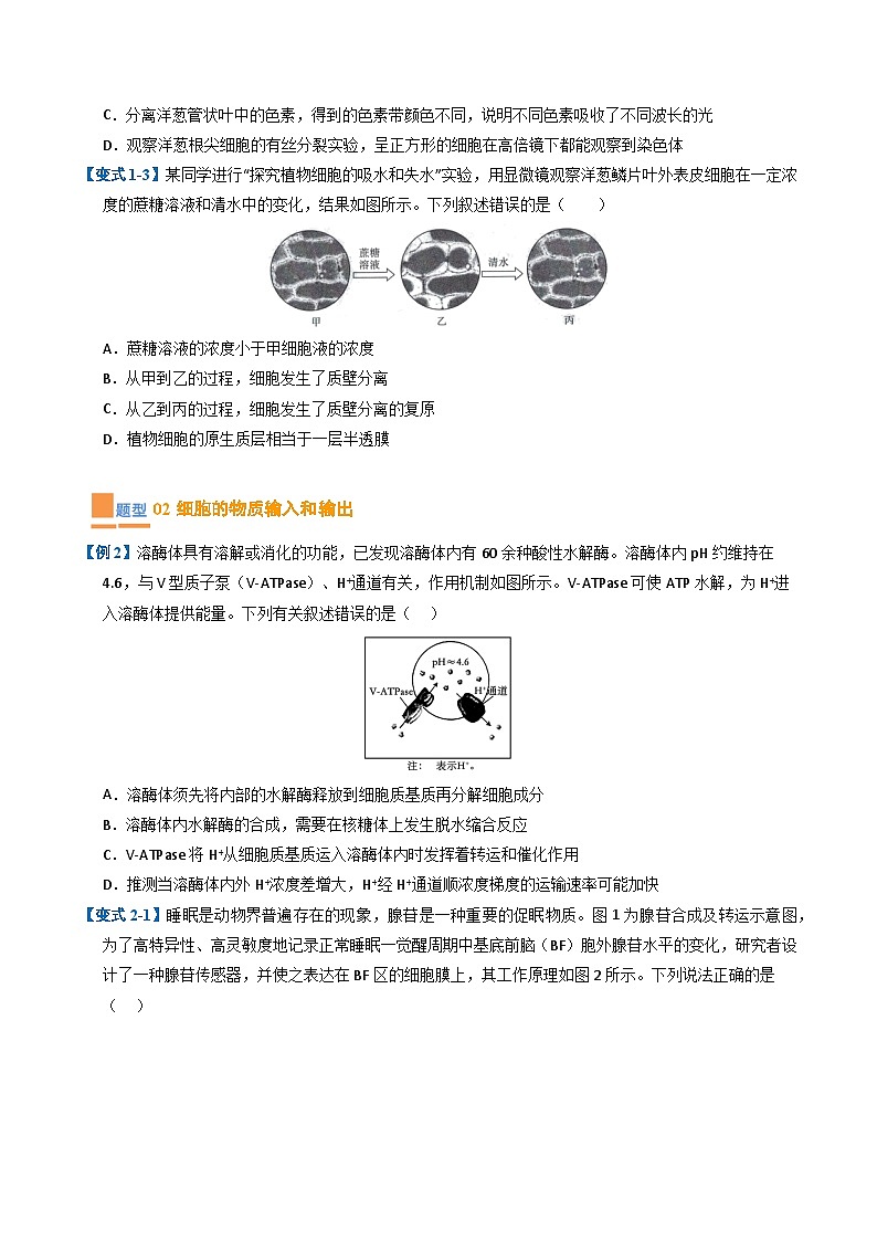 专题04 细胞的代谢（期末考题猜想）（9大题型）（原卷版+解析版）-高二生物下学期期末考点大串讲（人教版2019）02