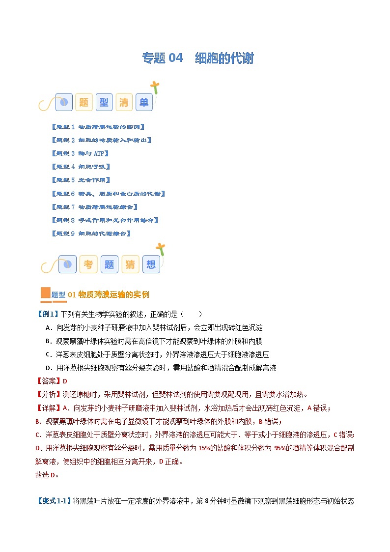 专题04 细胞的代谢（期末考题猜想）（9大题型）（原卷版+解析版）-高二生物下学期期末考点大串讲（人教版2019）01