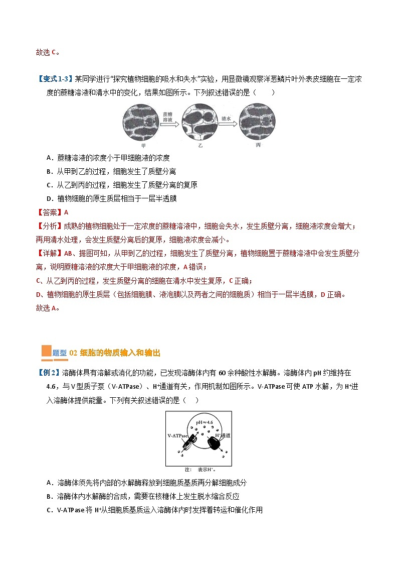 专题04 细胞的代谢（期末考题猜想）（9大题型）（原卷版+解析版）-高二生物下学期期末考点大串讲（人教版2019）03