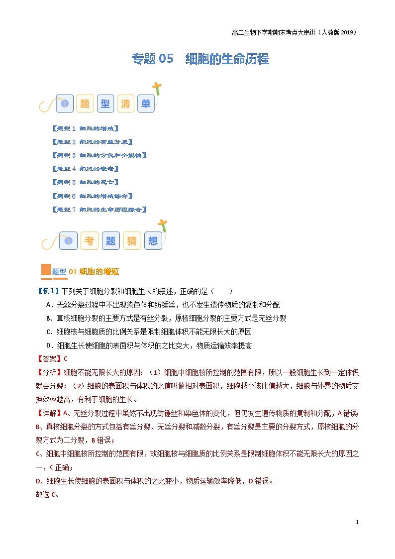 专题05 细胞的生命历程（期末考题猜想）（7大题型）（原卷版+解析版）-高二生物下学期期末考点大串讲（人教版2019）01