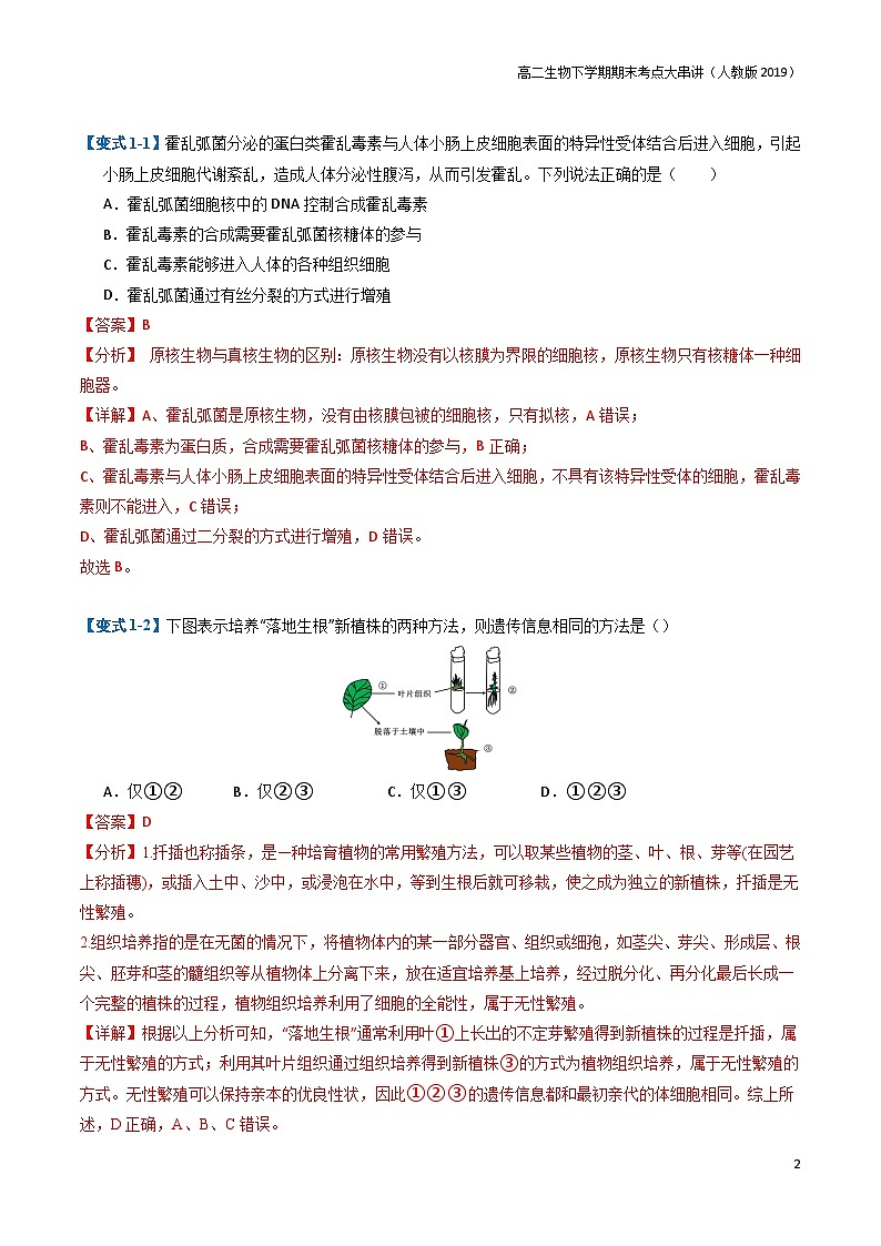专题05 细胞的生命历程（期末考题猜想）（7大题型）（原卷版+解析版）-高二生物下学期期末考点大串讲（人教版2019）02