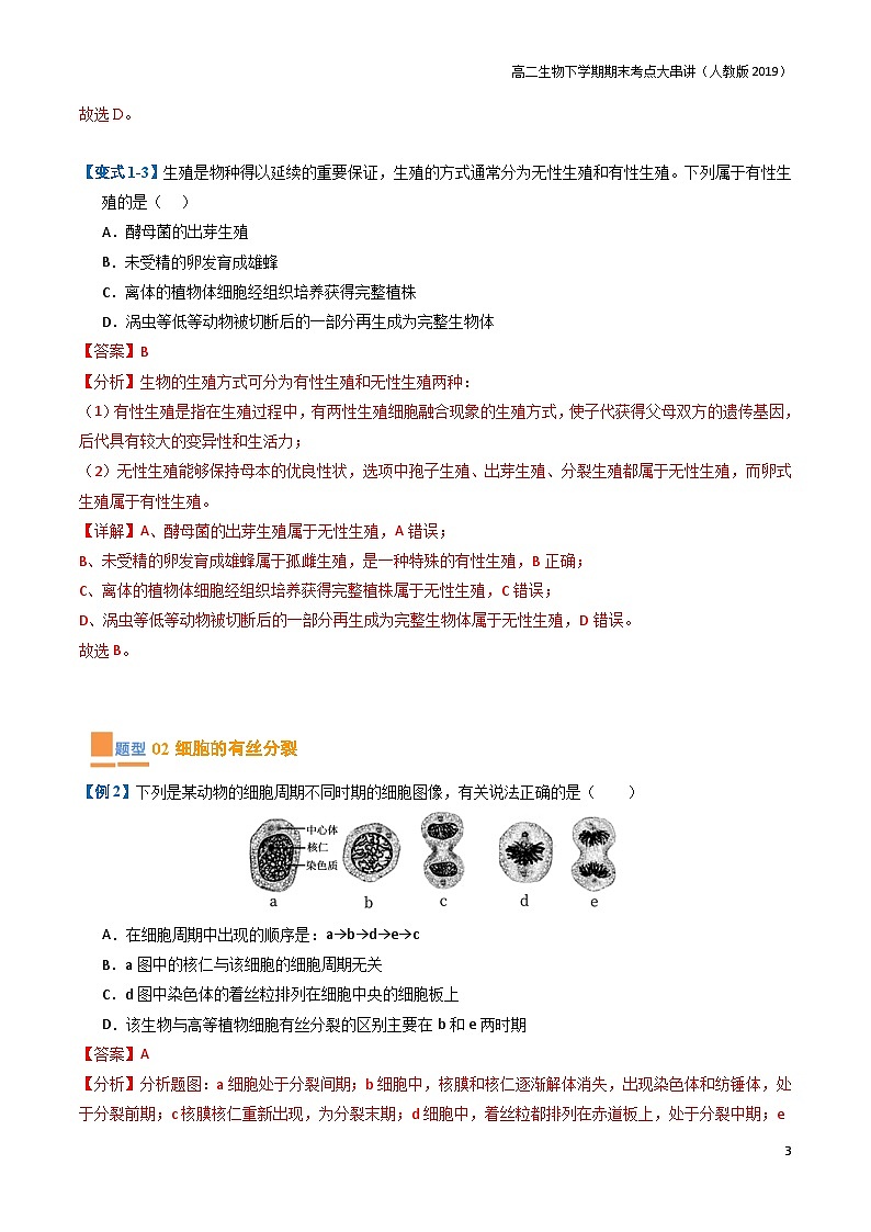 专题05 细胞的生命历程（期末考题猜想）（7大题型）（原卷版+解析版）-高二生物下学期期末考点大串讲（人教版2019）03