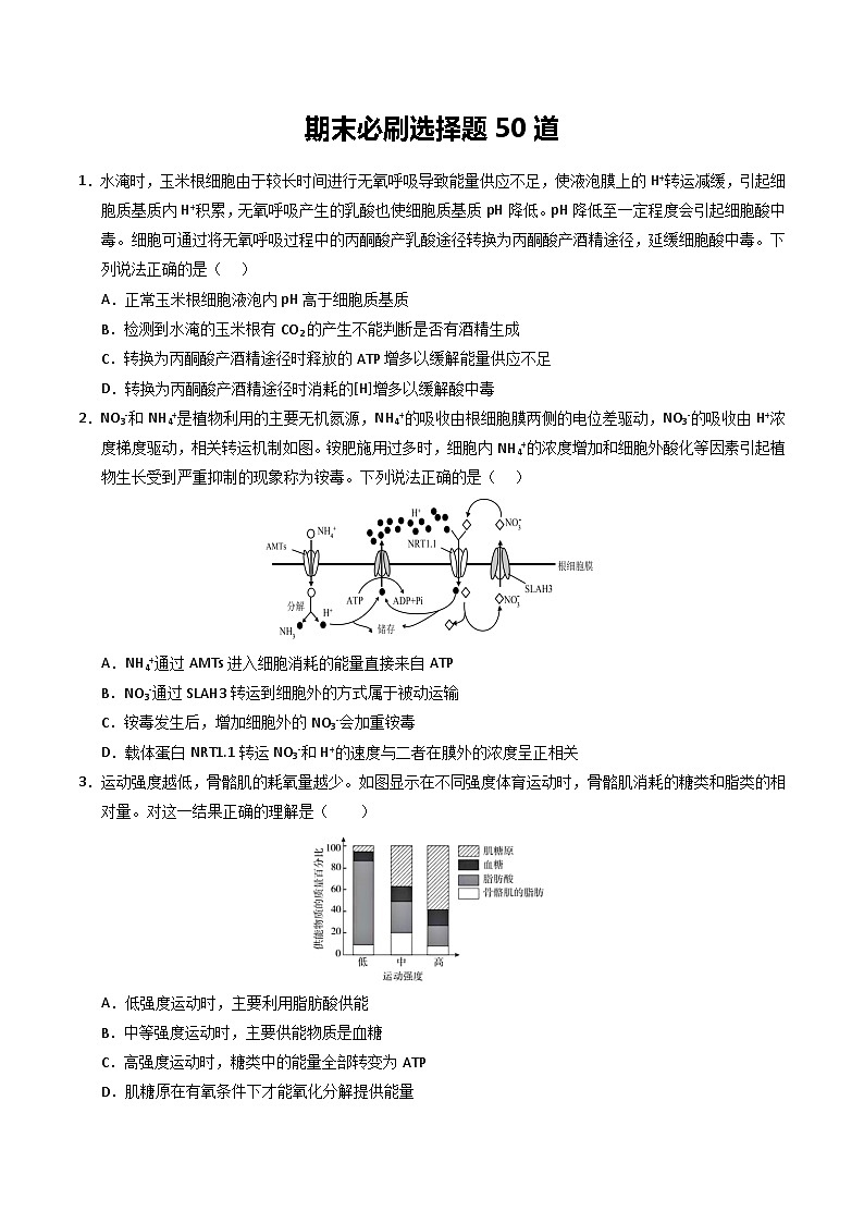 期末必刷选择题50道（原卷版+解析版）-高二生物下学期期末考点大串讲（人教版2019）01