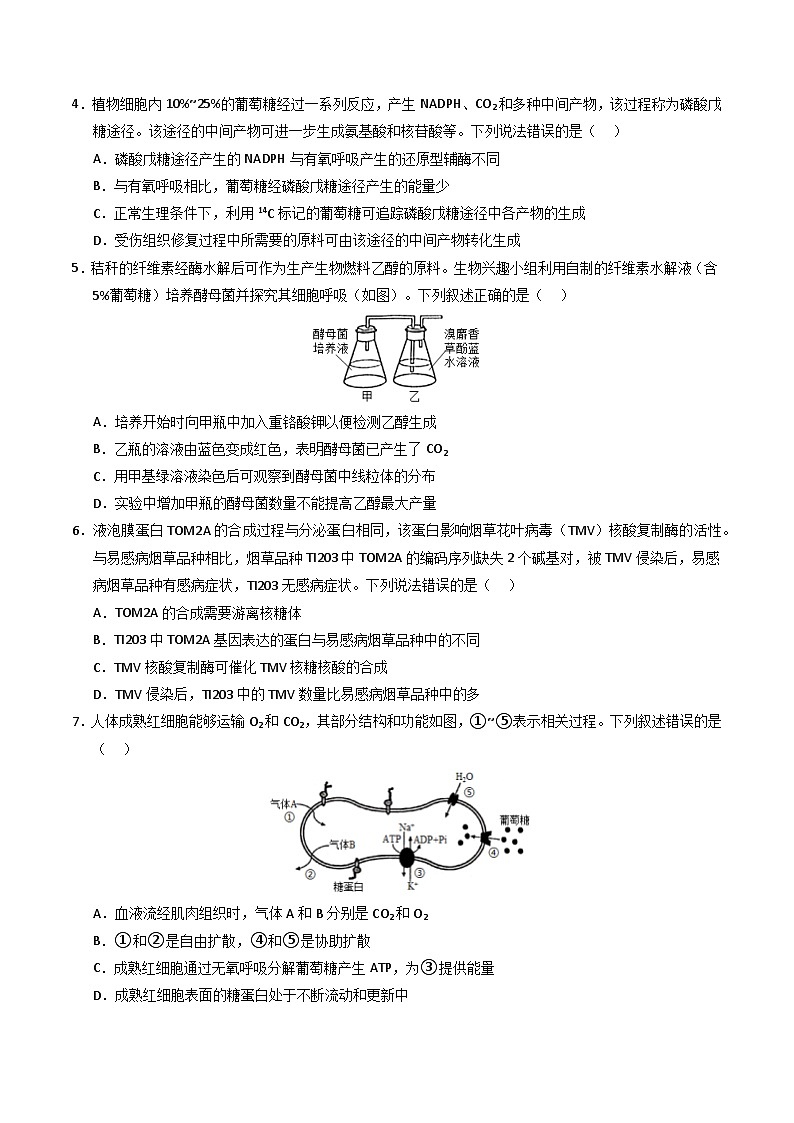 期末必刷选择题50道（原卷版+解析版）-高二生物下学期期末考点大串讲（人教版2019）02